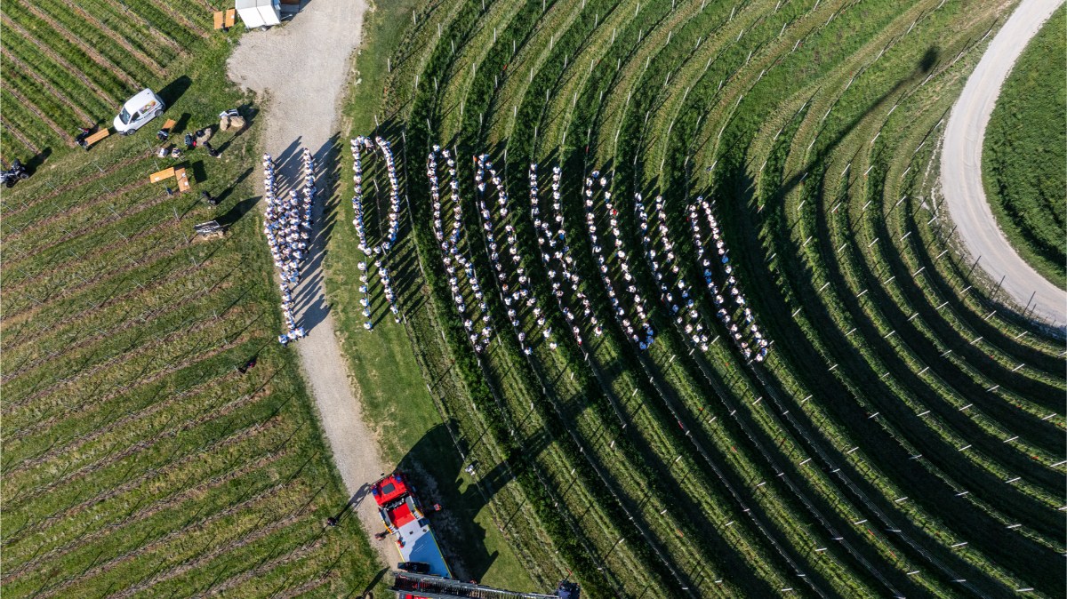 Milenijska fotografija