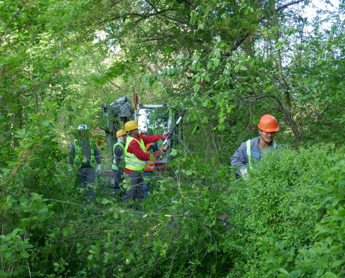 P1220536