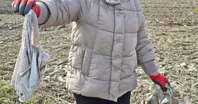 ZELENA ČISTKA