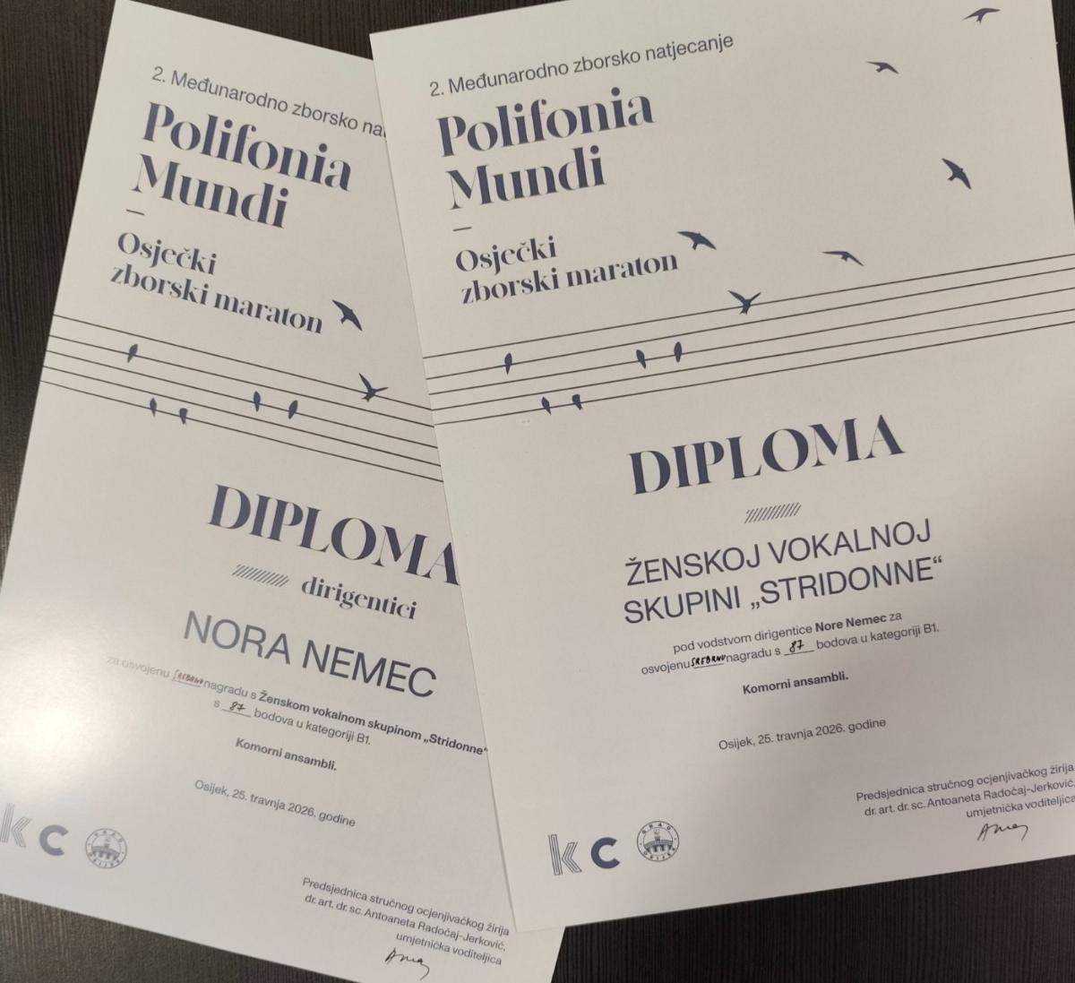 ŽVS Stridonne