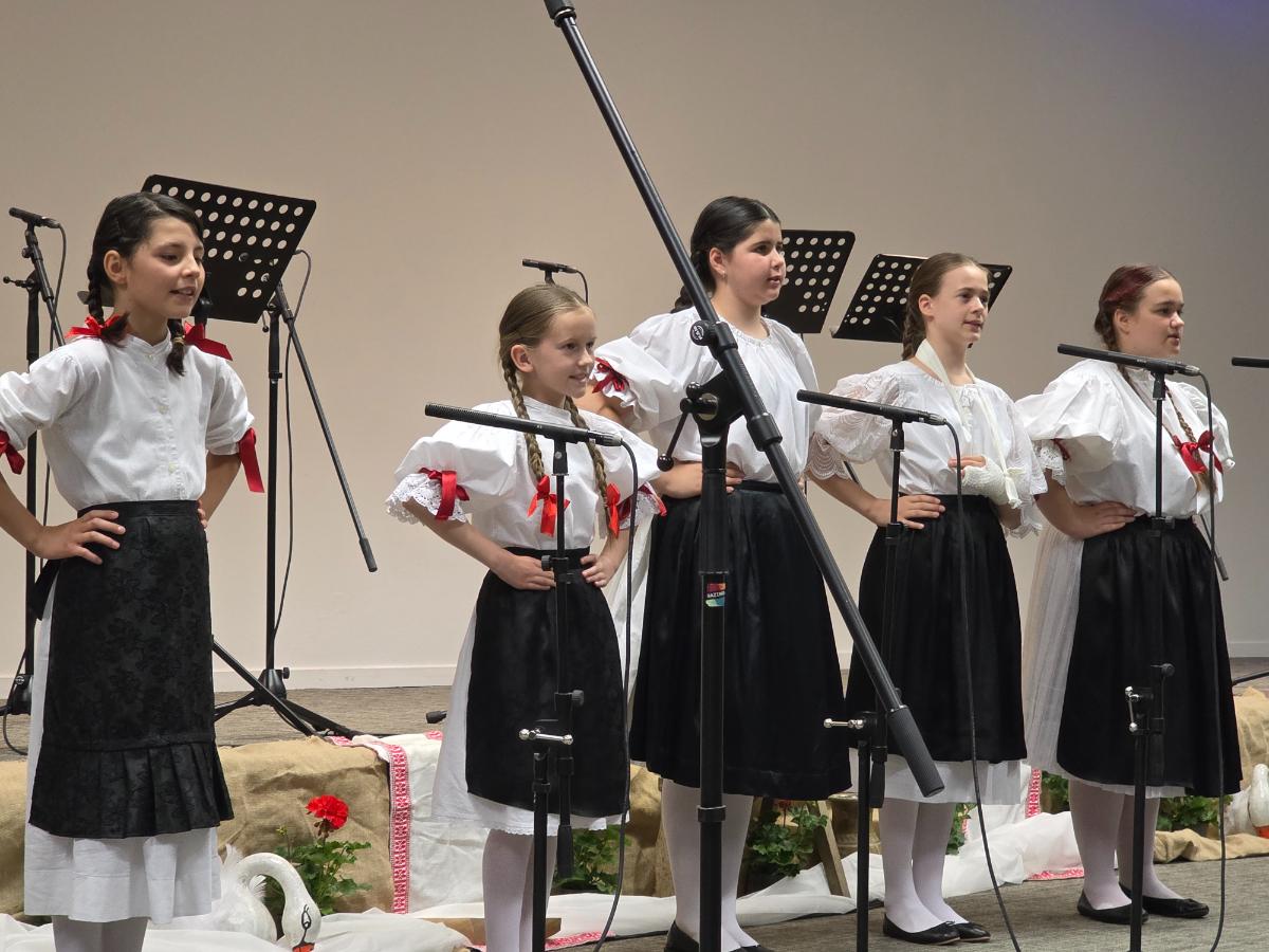17. Dječja smotra Međimurskih popevki (10)