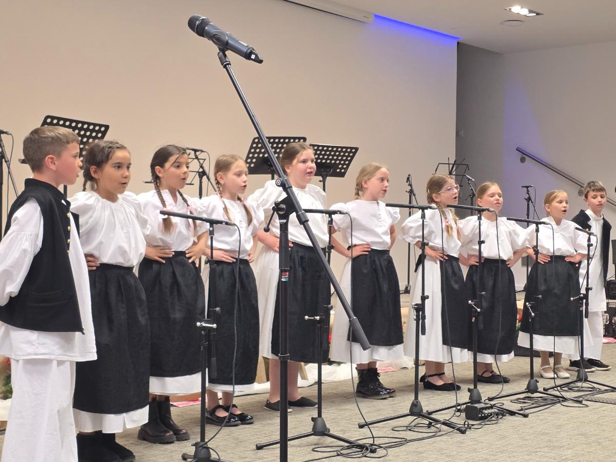 17. Dječja smotra Međimurskih popevki (31)