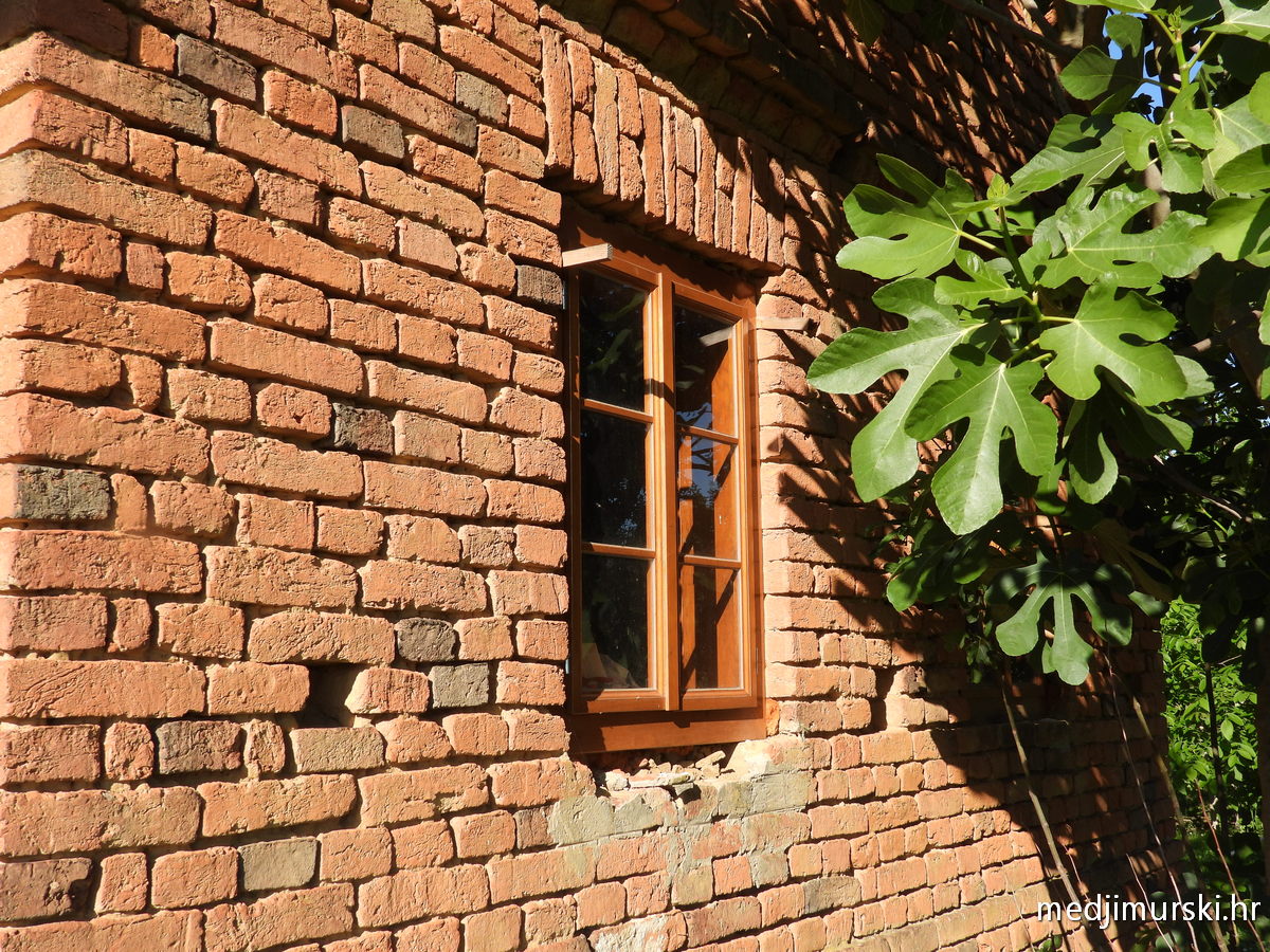DSCN1474