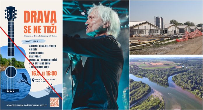 GLAVNA (32)