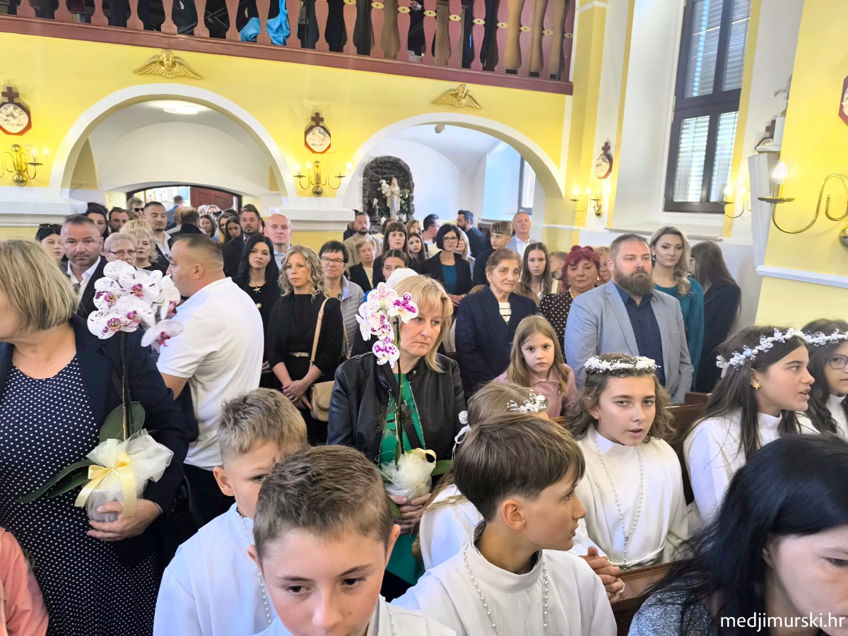 IMG 20260517