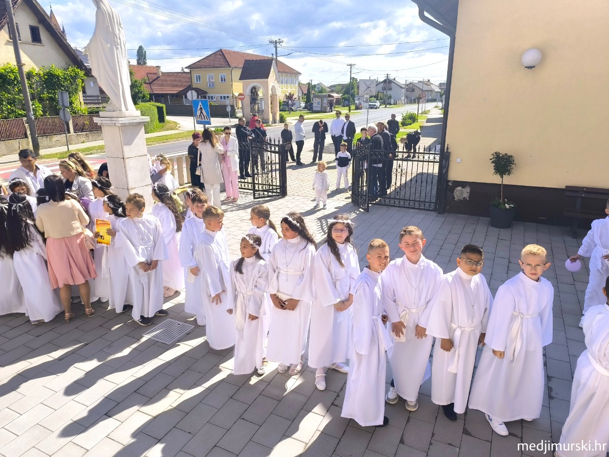 IMG 20260517