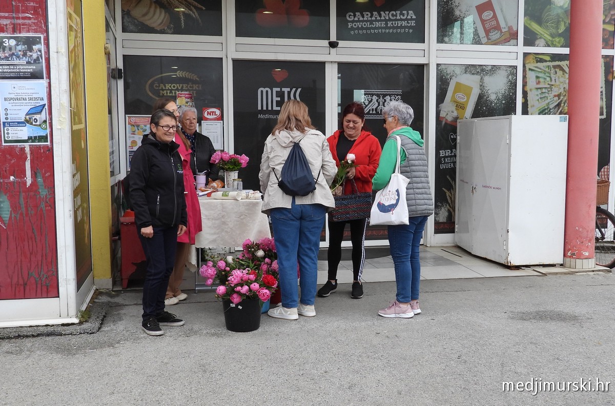 Kartruže Mala Subotica (9)