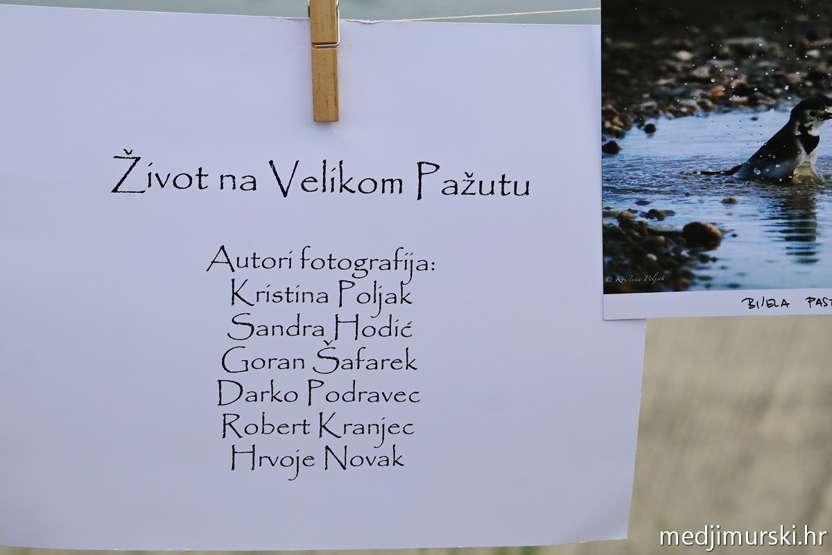 Koncert Drava ne trži Donja Dubrava (72)
