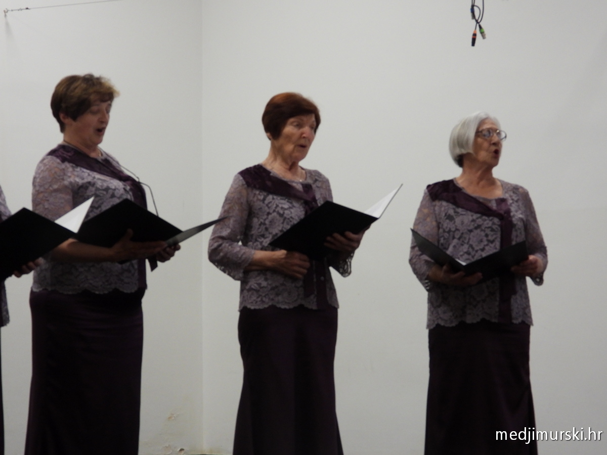Koncert Majčin dan Vratišinec (30)