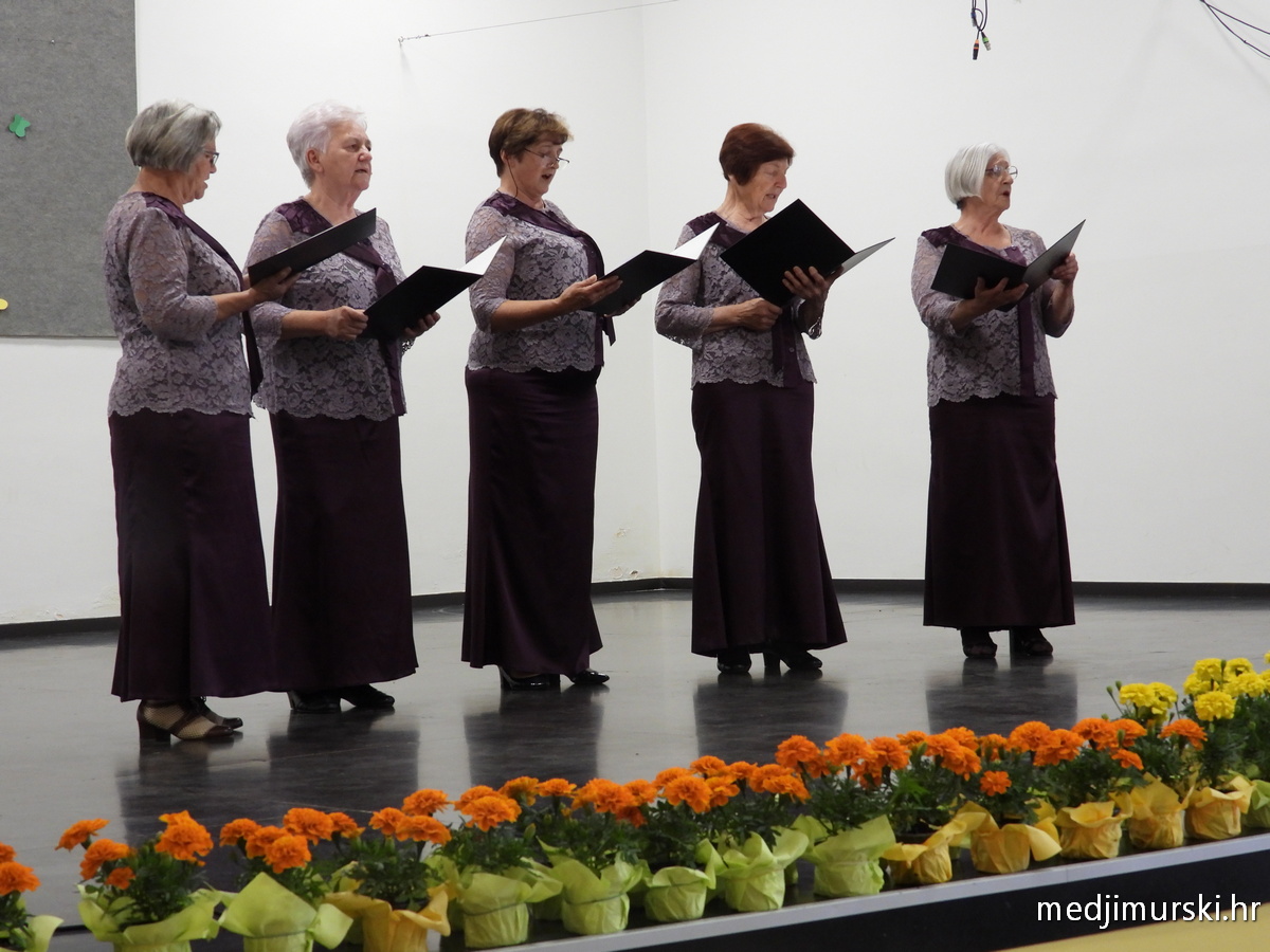 Koncert Majčin dan Vratišinec (39)