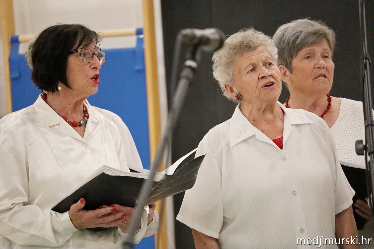 Međunarodni folklorni susret Draškovec (96)