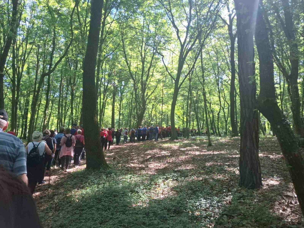 Nordijsko hodanje Gornji Mihaljevec (1)