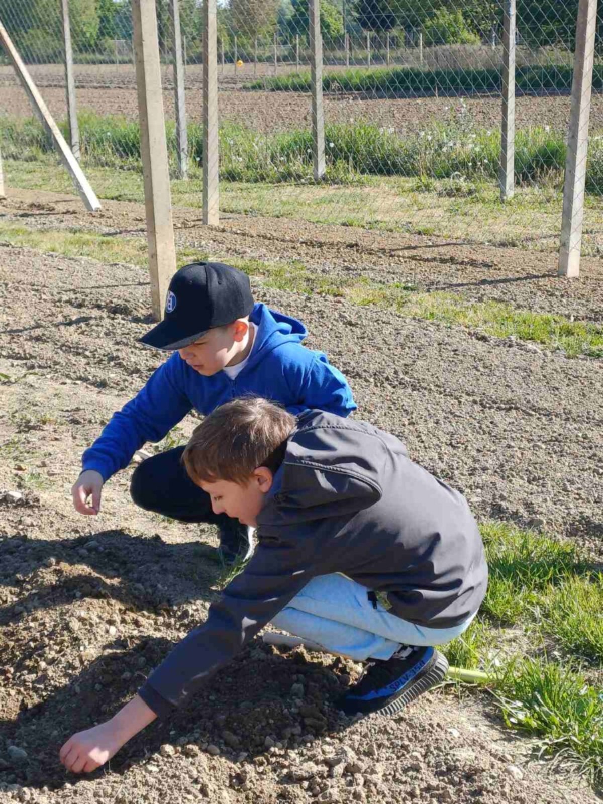 OŠ Sveti Martin na Muri bundeve (12)