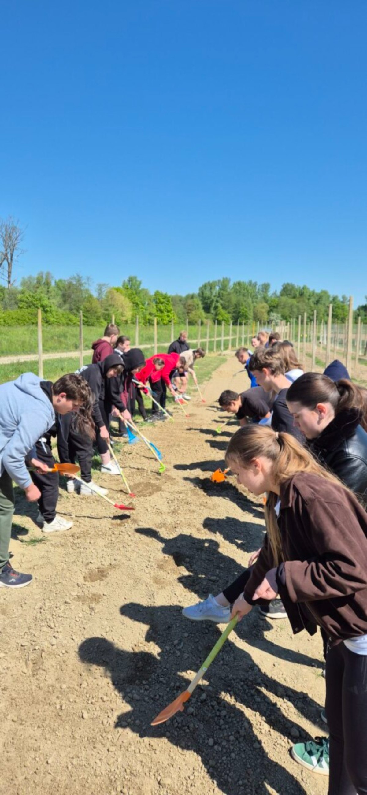 OŠ Sveti Martin na Muri bundeve (16)