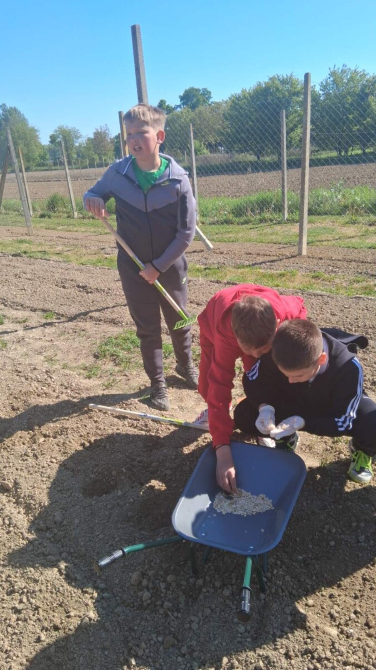 OŠ Sveti Martin na Muri bundeve (18)