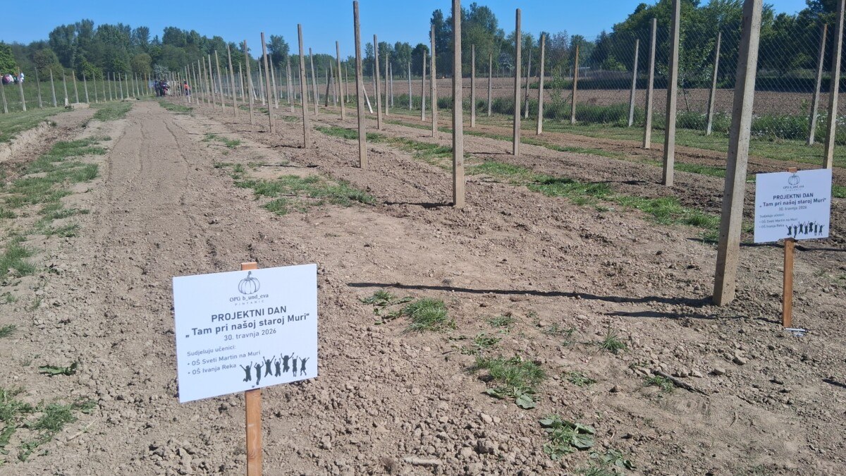 OŠ Sveti Martin na Muri bundeve (2)