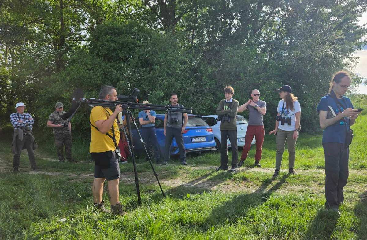 Promatranje ptica Veliki Pažut (27)