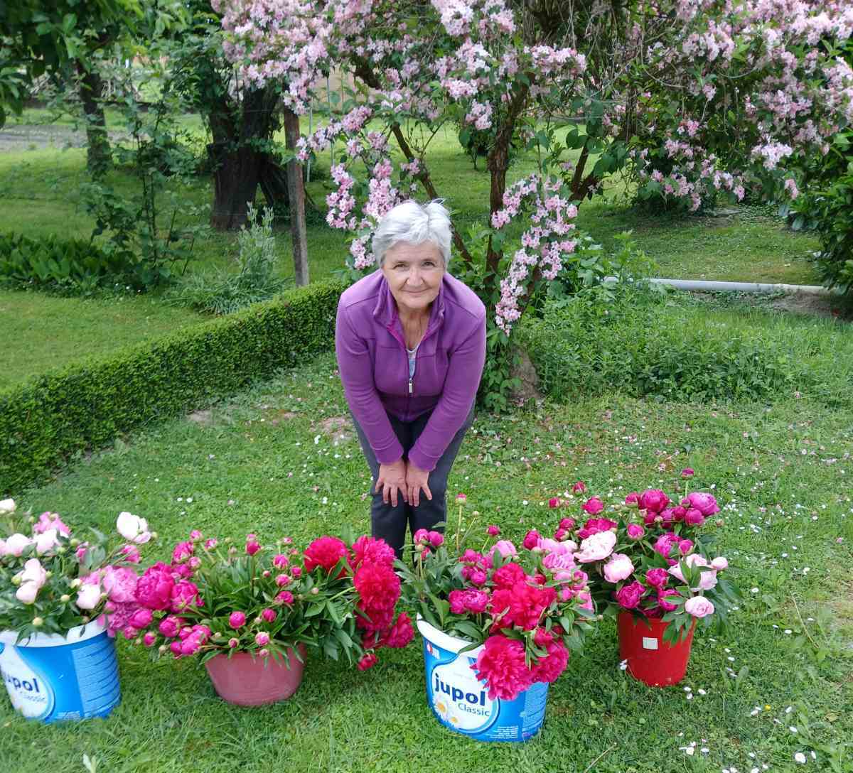 Terezija Vidovic