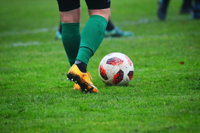 Planet fox soccer 6795556 (1)