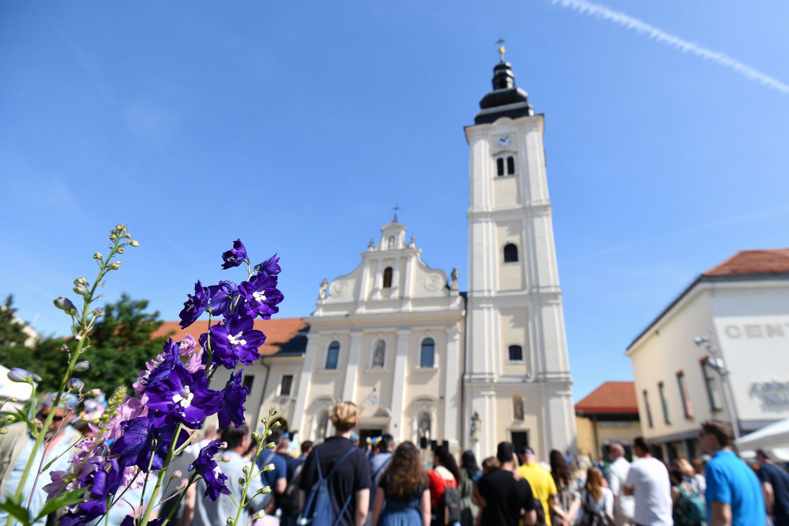 Proljetni05 vzr