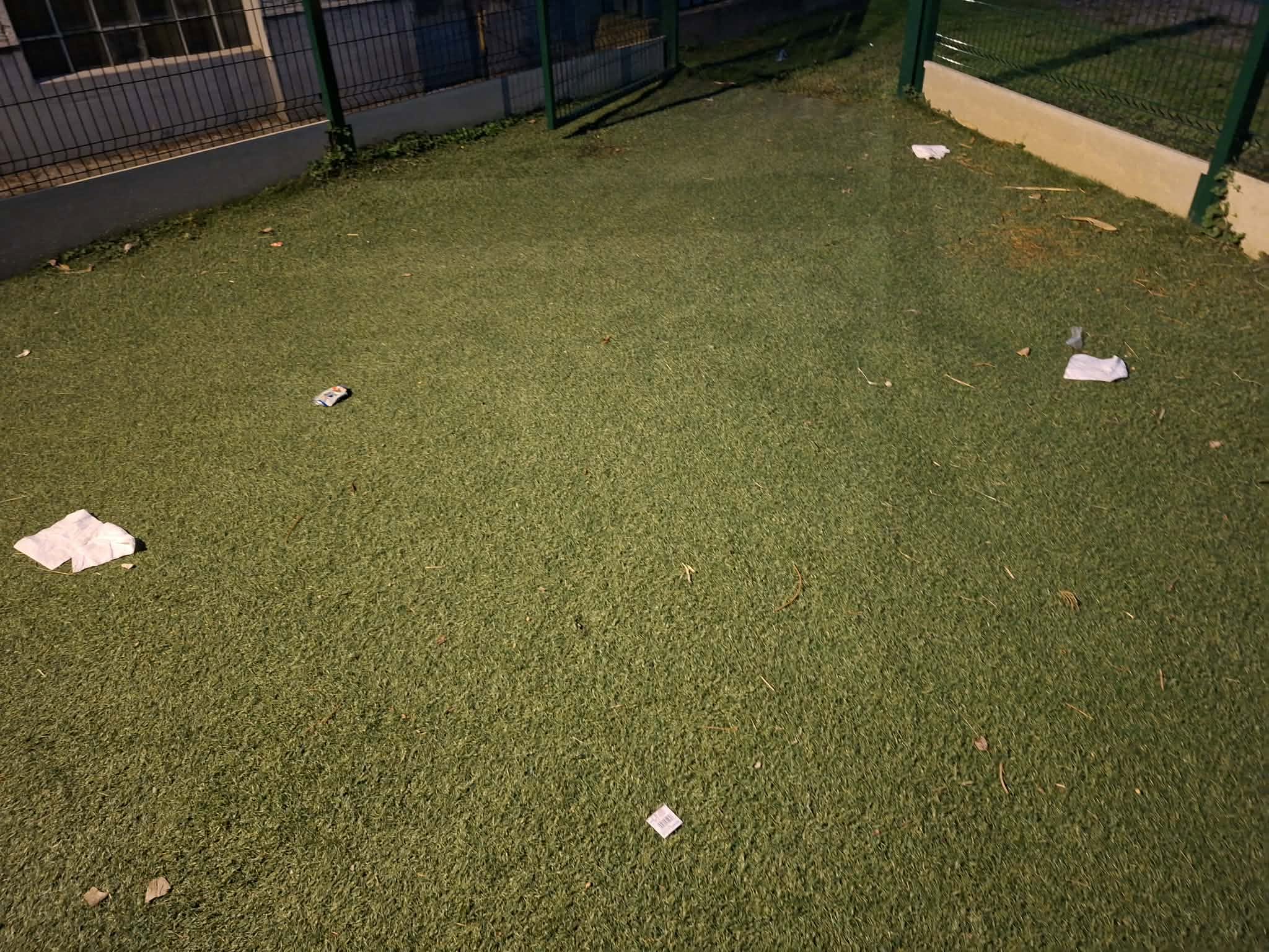 729413345 1639241734880523 3295033418219039046 n