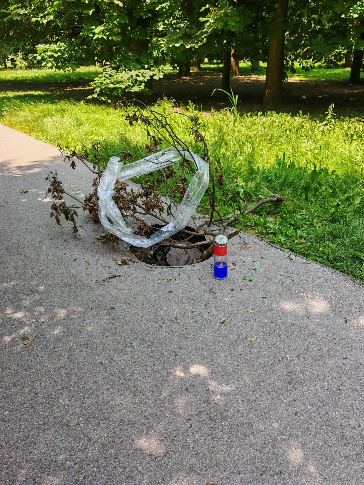 729769063 10232943027014118 4481455874239155676 n