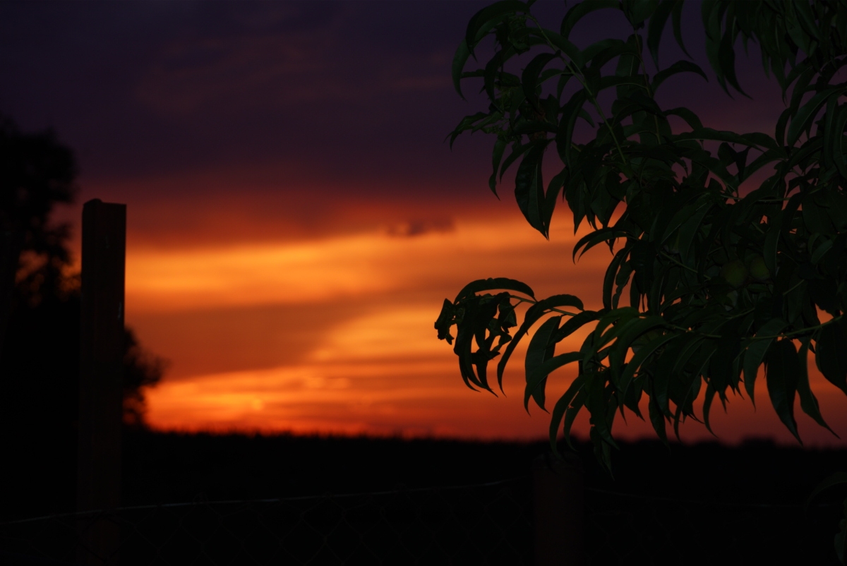 DSC04494