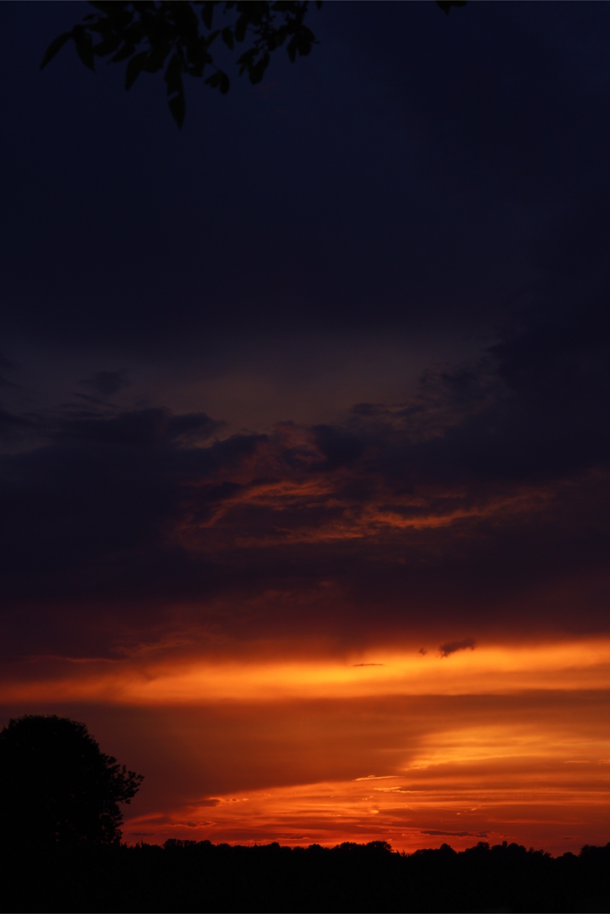 DSC04517