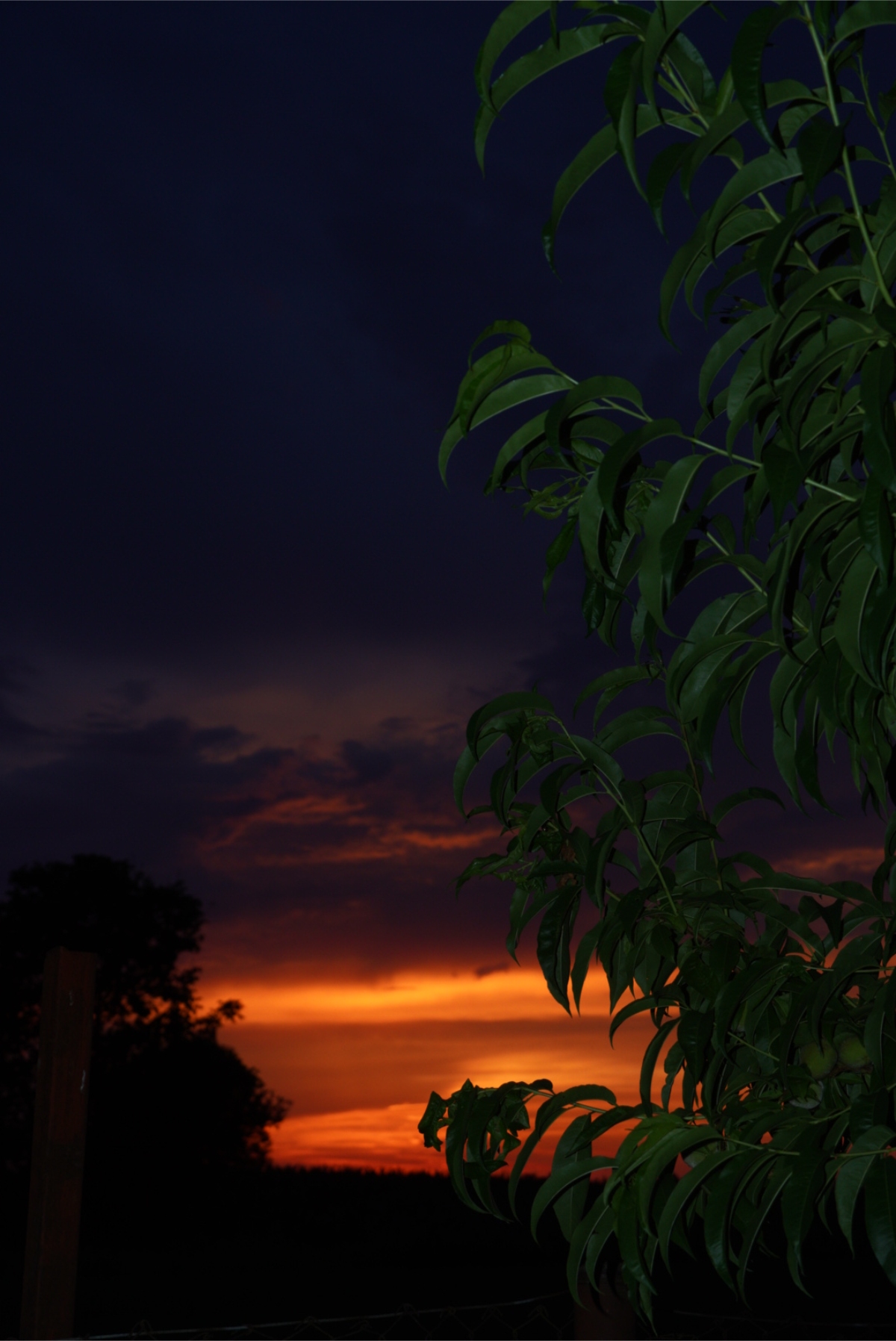 DSC04520