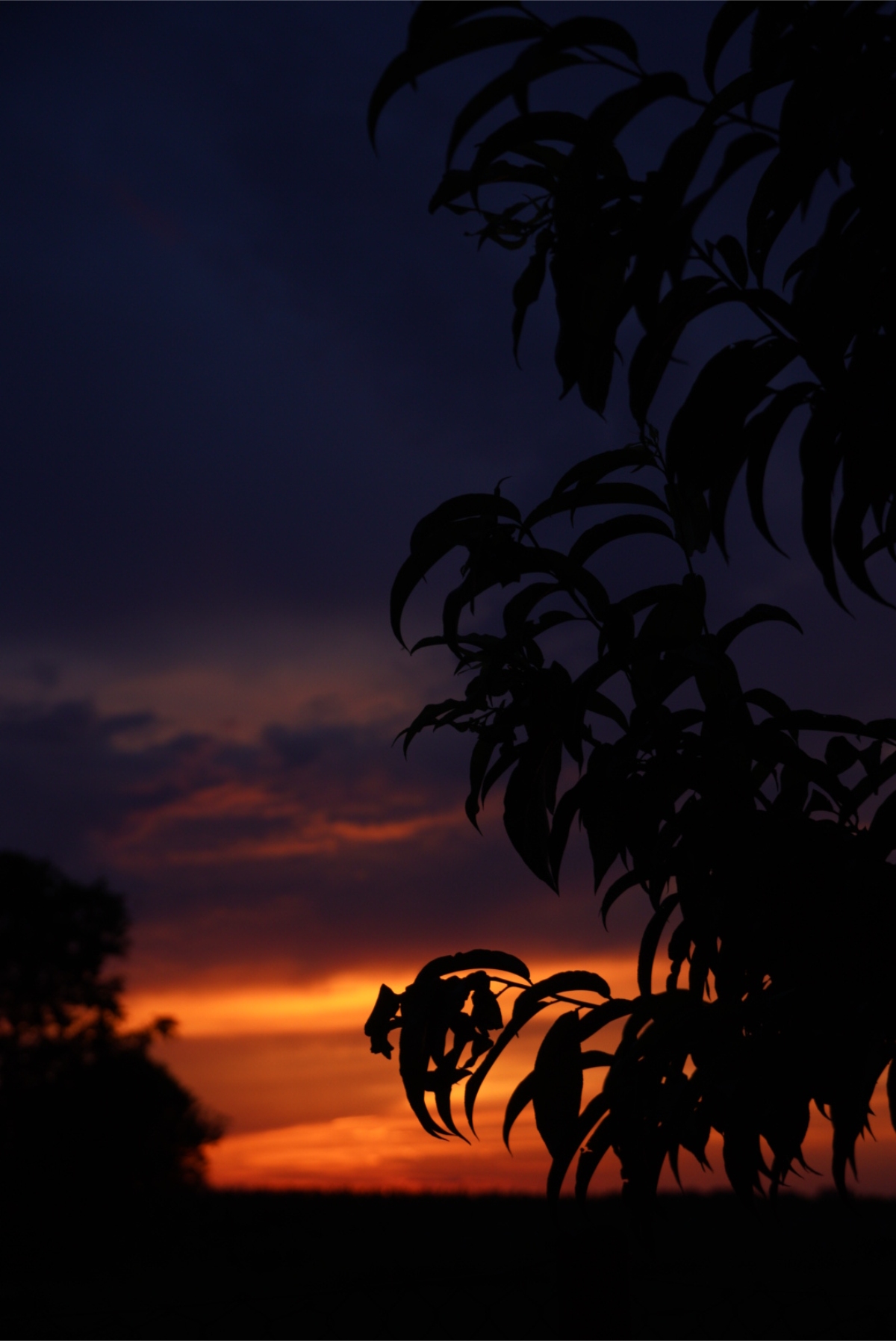 DSC04527