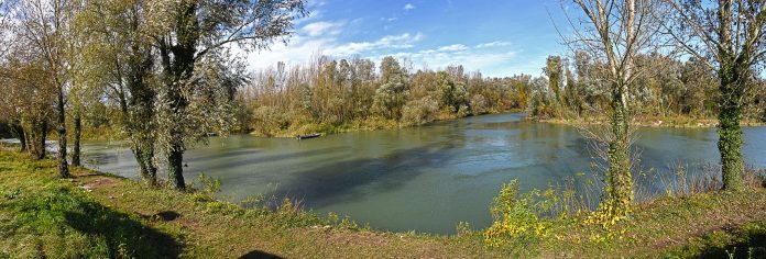 Drava na sotočju z Muro
