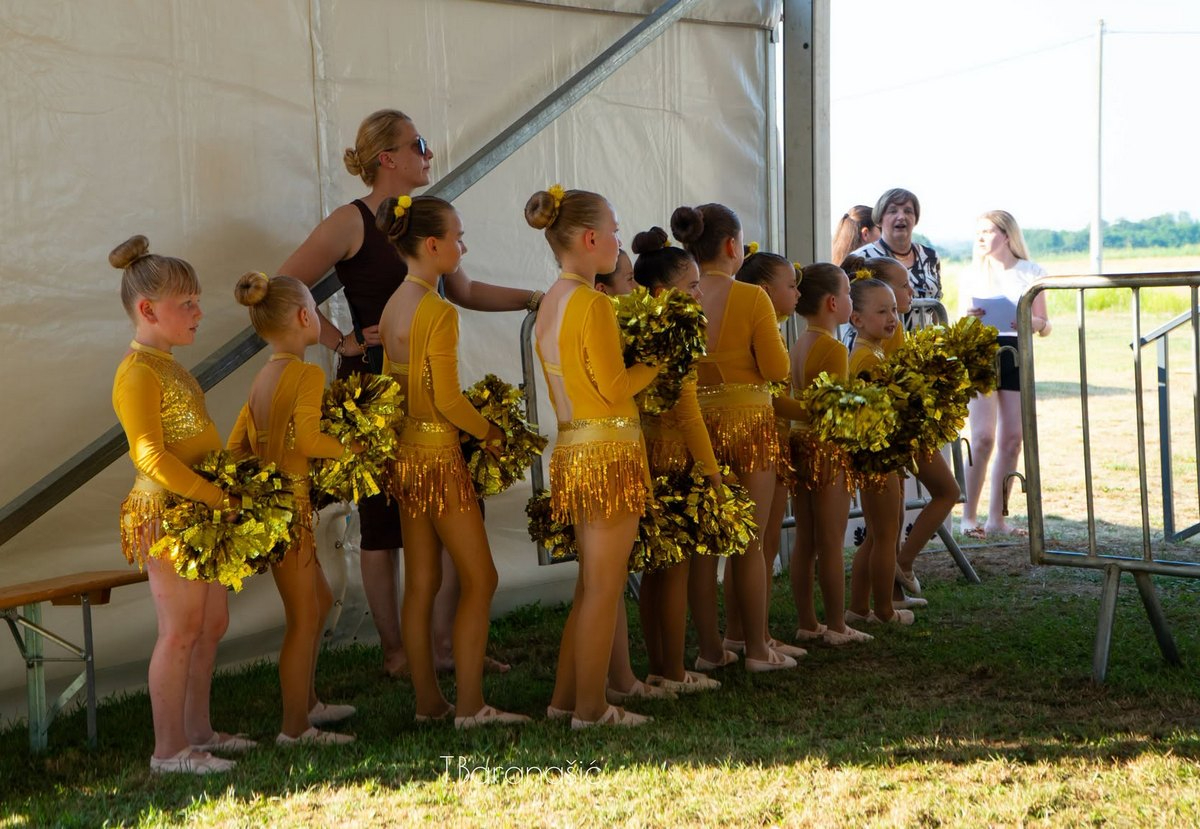 Festival glume i plesa iGruntovčani Goričan (12).jfif