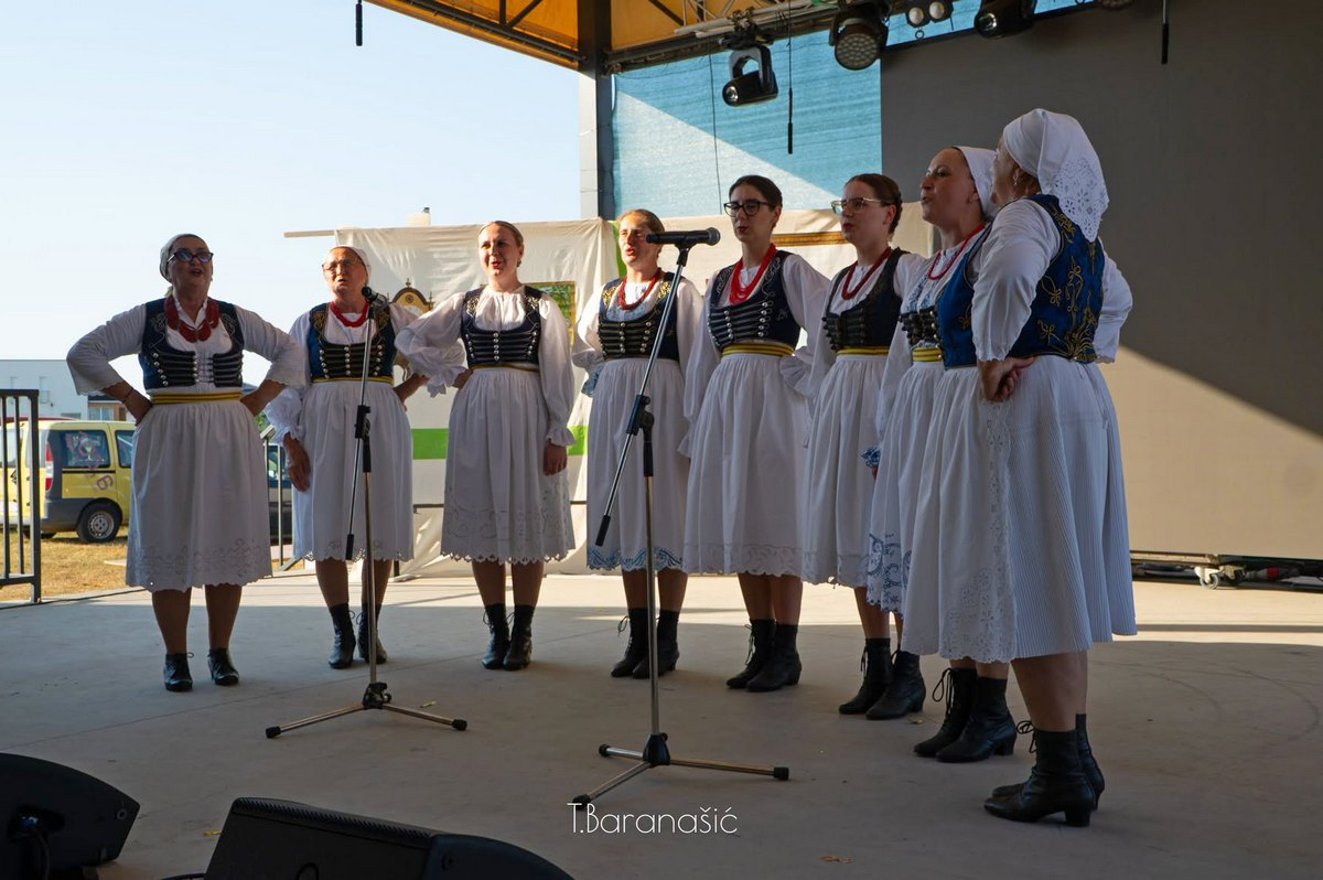 Festival glume i plesa iGruntovčani Goričan (20).jfif