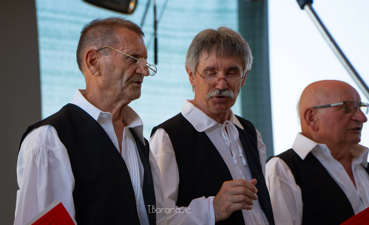 Festival glume i plesa iGruntovčani Goričan (25).jfif