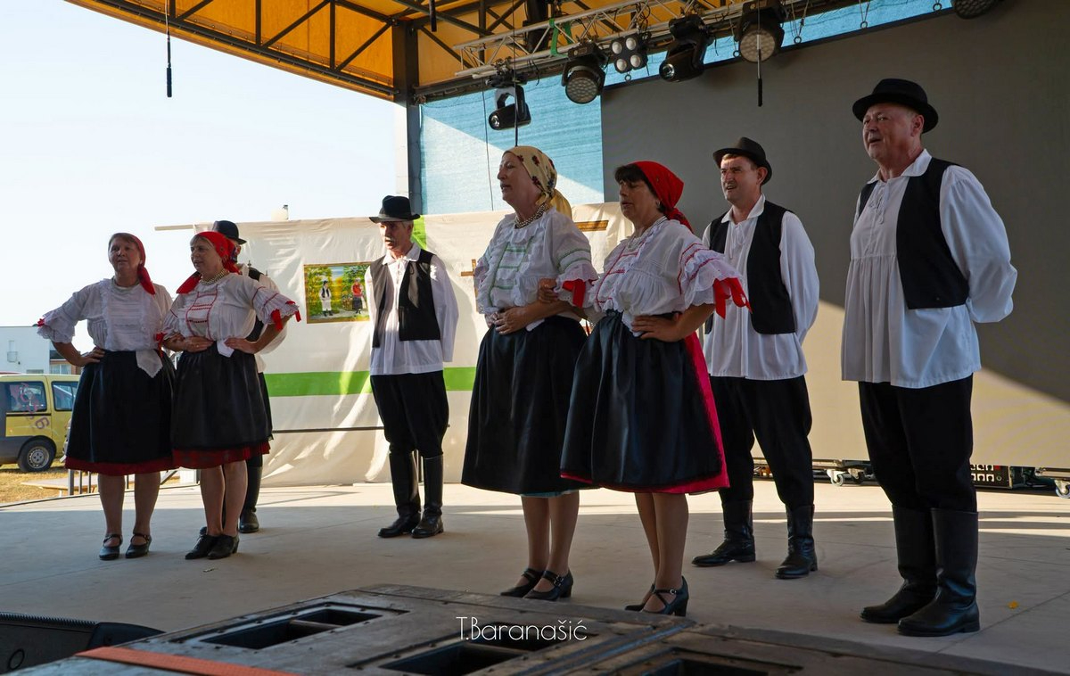 Festival glume i plesa iGruntovčani Goričan (33).jfif