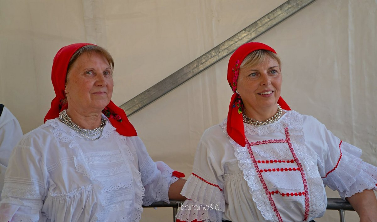 Festival glume i plesa iGruntovčani Goričan (42).jfif