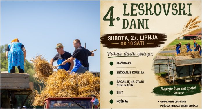 GLAVNA LES