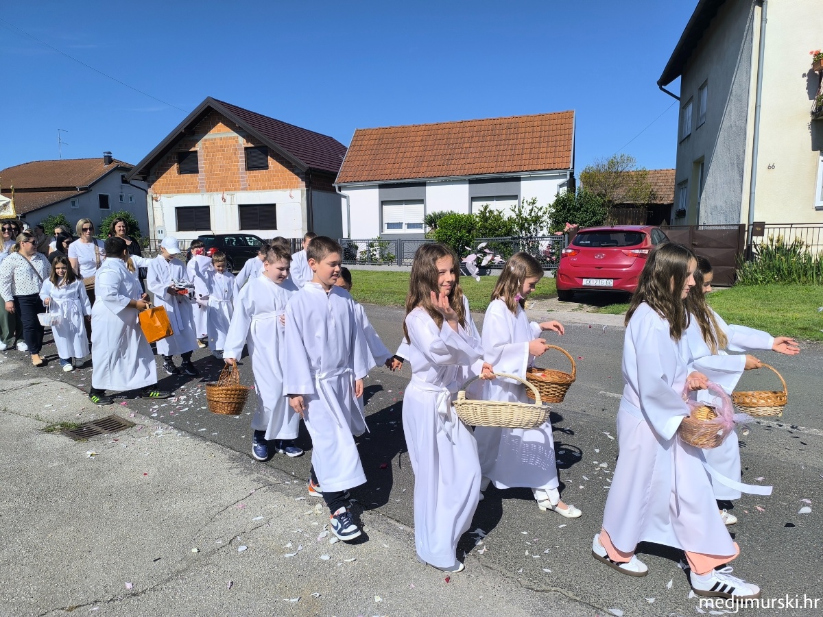 IMG 20260604