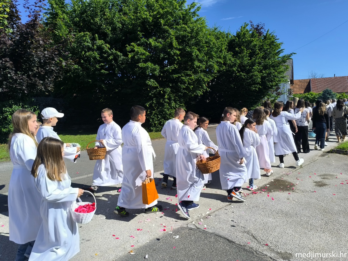 IMG 20260604