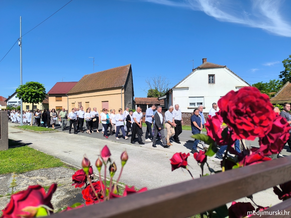 IMG 20260604