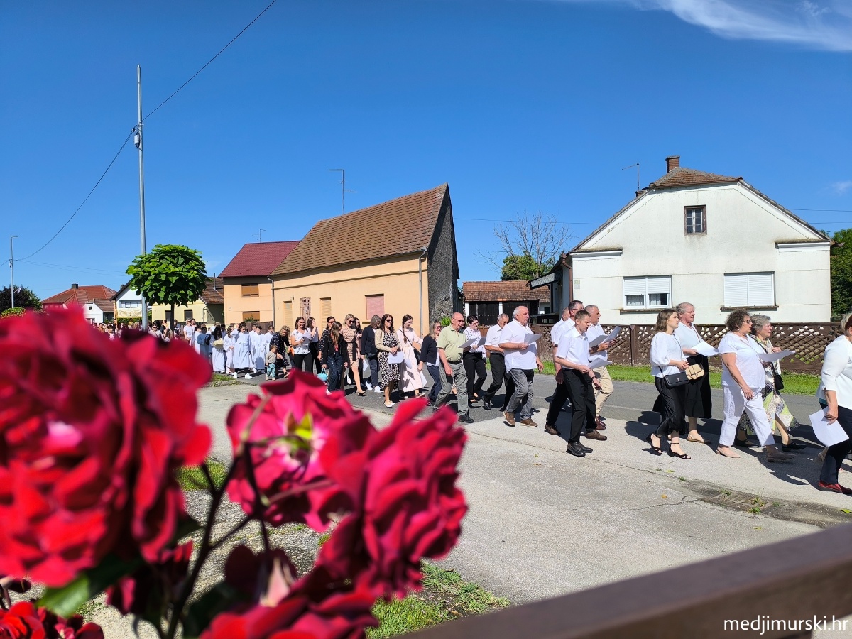 IMG 20260604