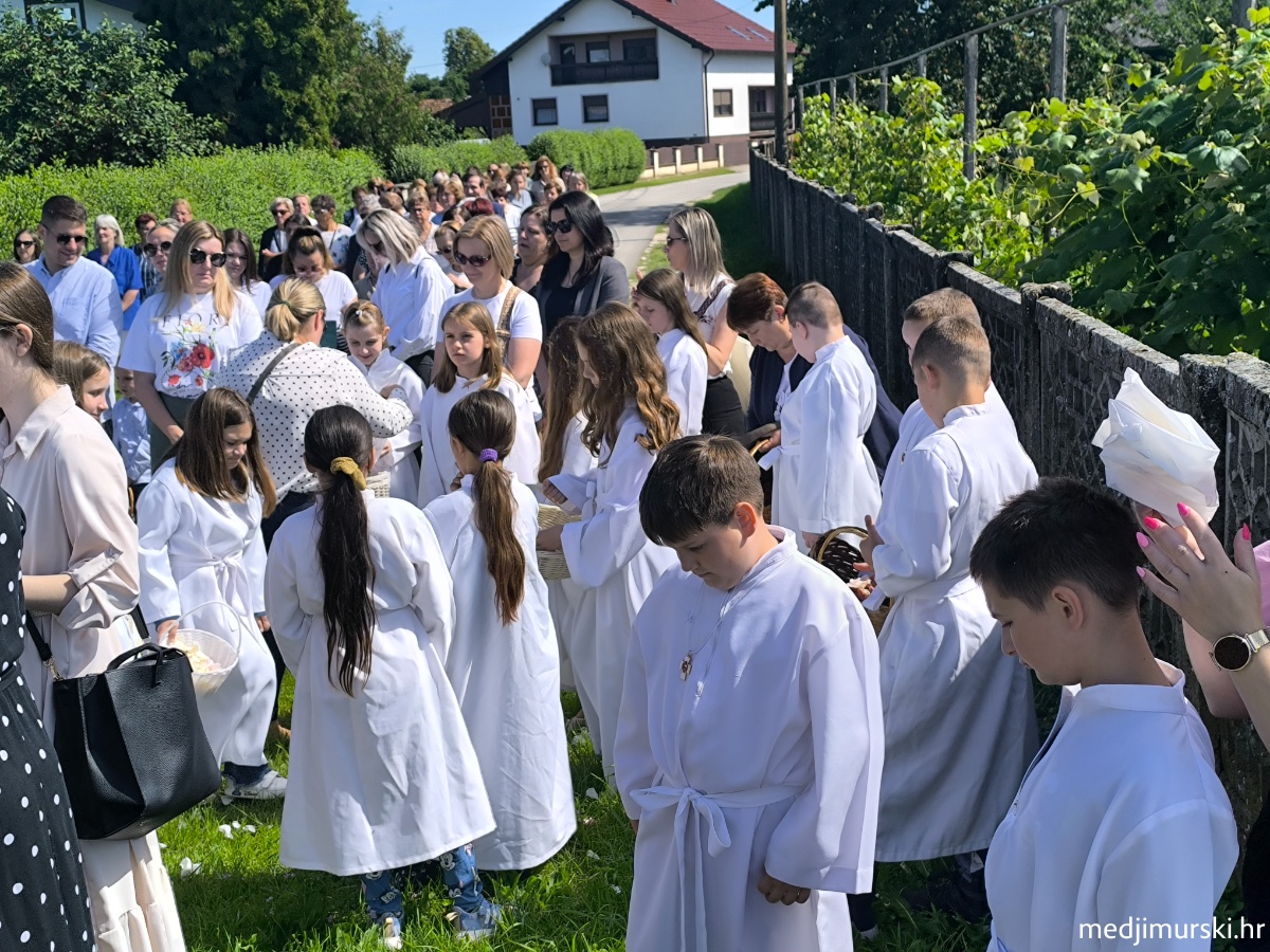 IMG 20260604