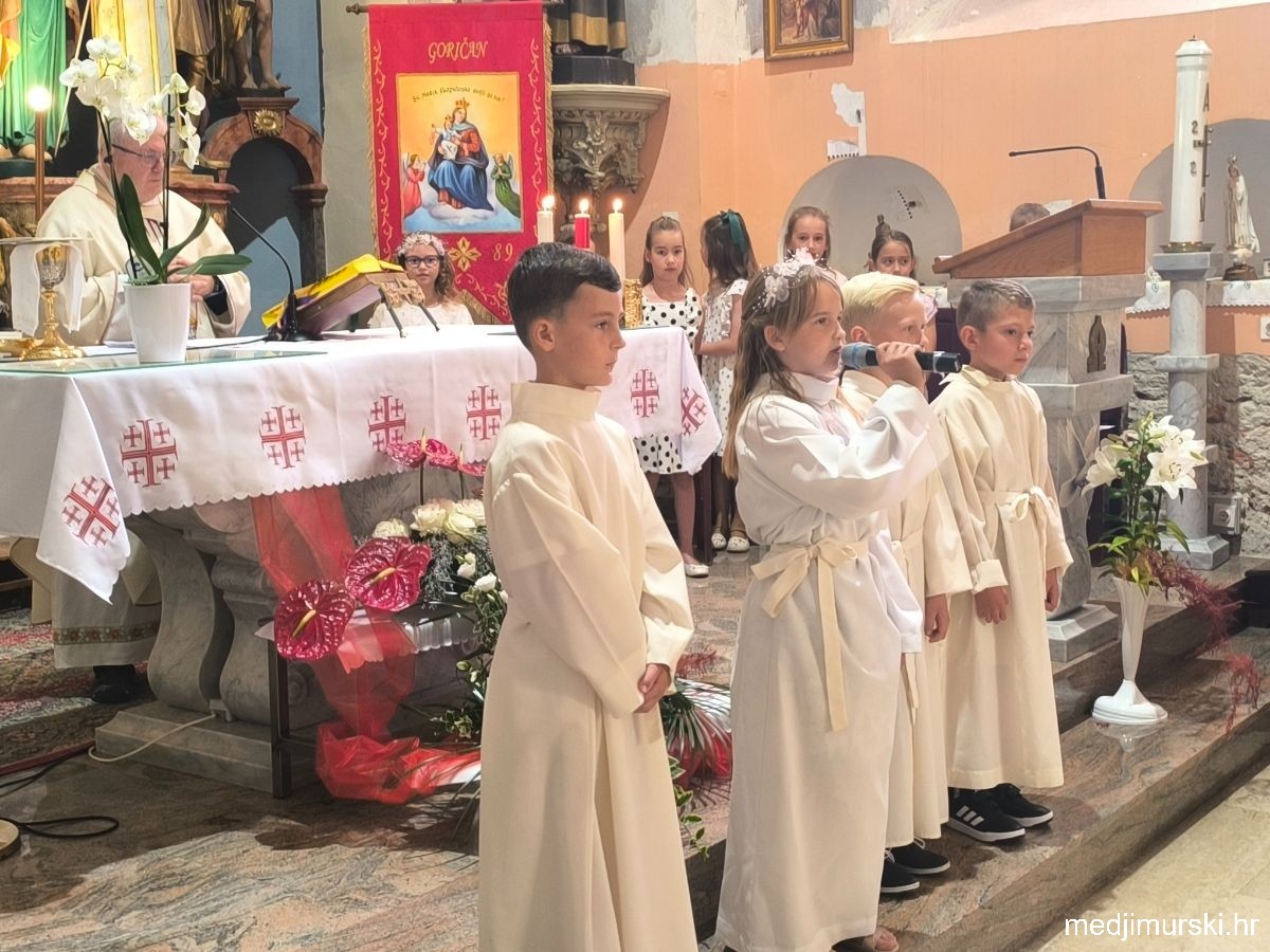 IMG 20260607