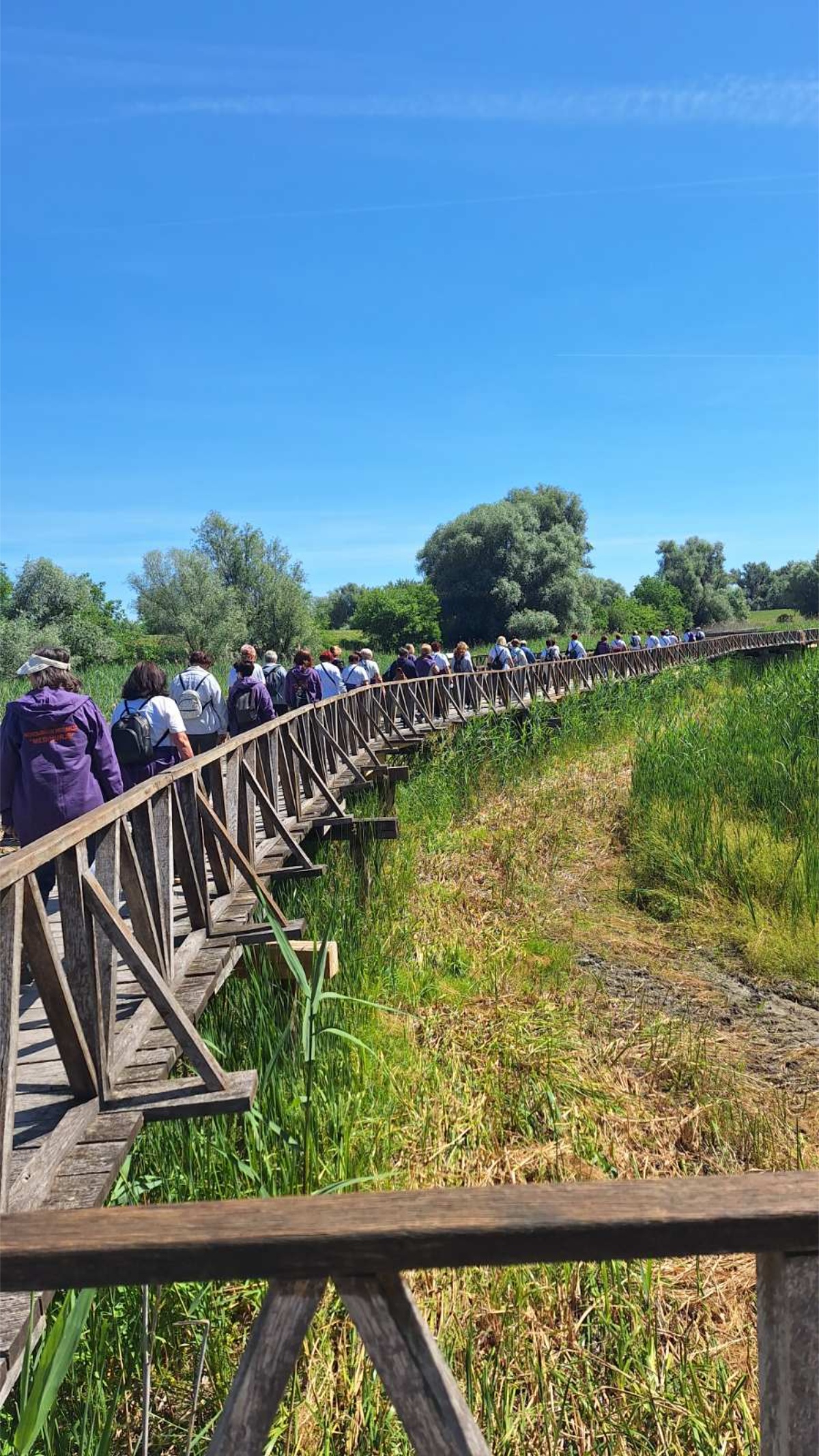 Izlet Klub nordijskog hodanja Međimurje (3)