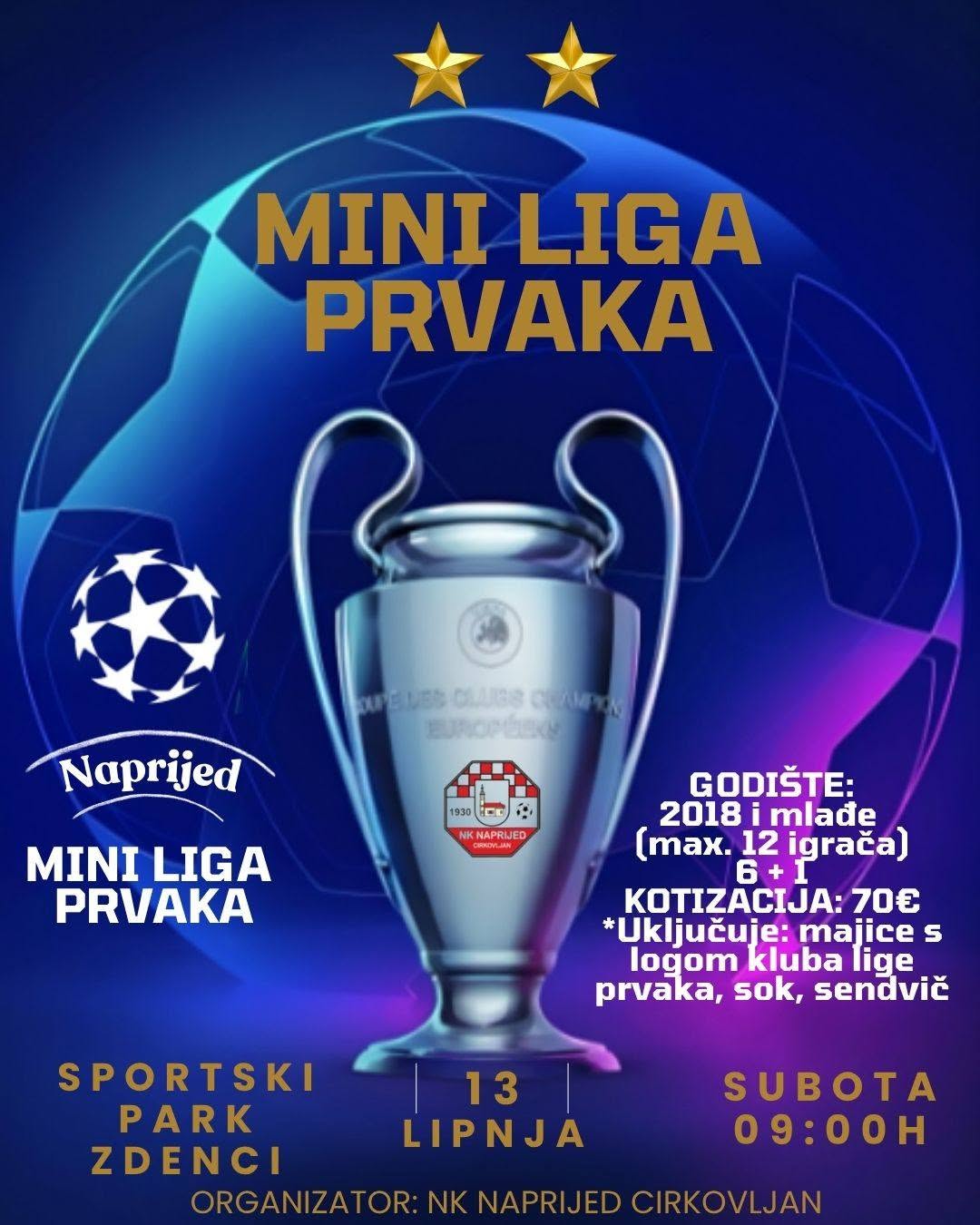 Mini Liga prvaka