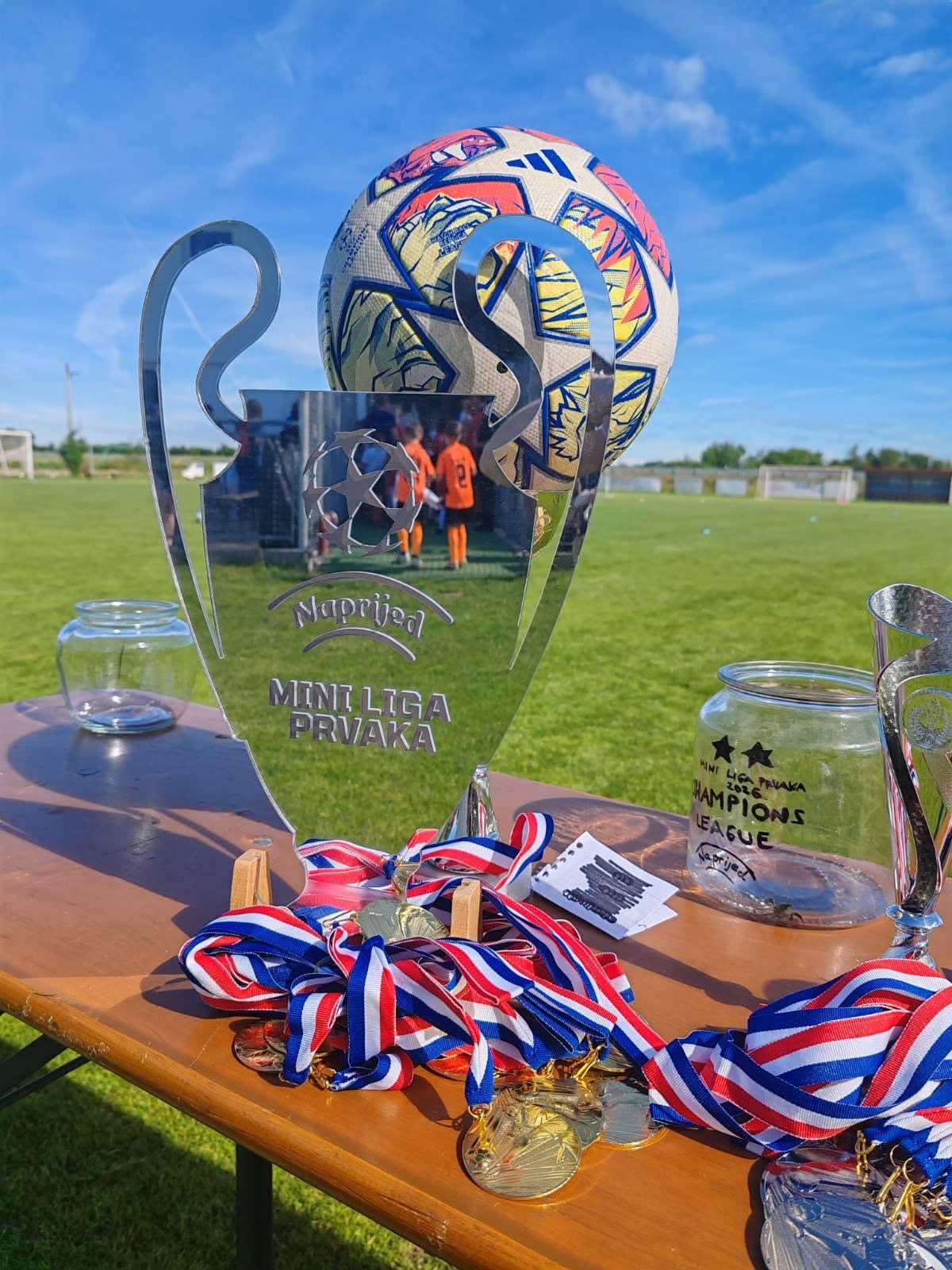 Mini liga prvaka Cirkovljan 2026 (12)