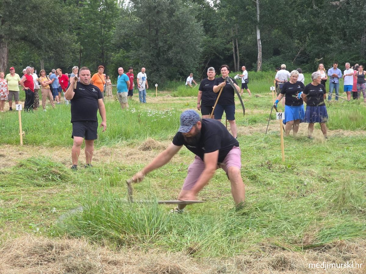Natjecanje u košnji trave (31)