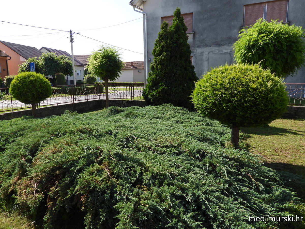 Slavica i Antun Perenc (14)