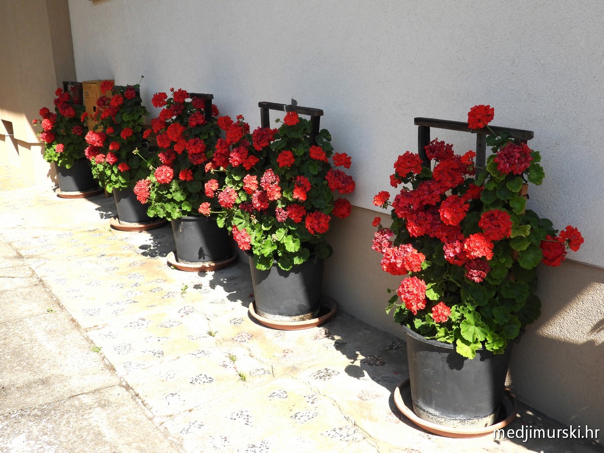 Slavica i Antun Perenc (4)