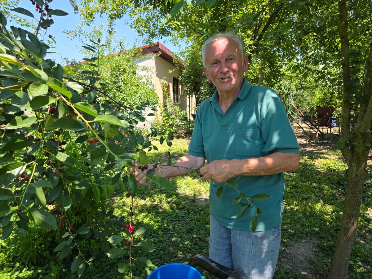 Stjepan Mesarić FICKO (14)